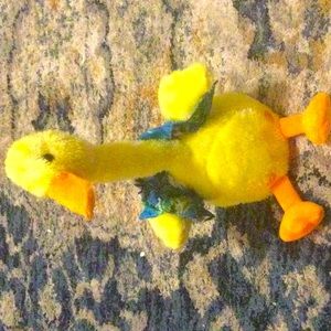 Talking Duck Lights Up! Plays Music!